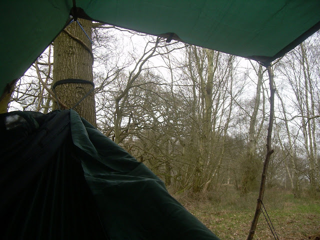 A hammock with a view