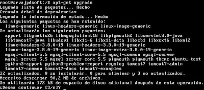Actualizar sistema Linux Ubuntu Server 13.04