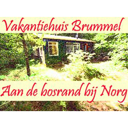 Vakantiehuis Brummel Norg Drenthe logo