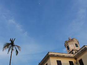 moon in blue sky above a palm tree and a building 