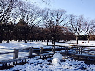 Yoyogi park Snow