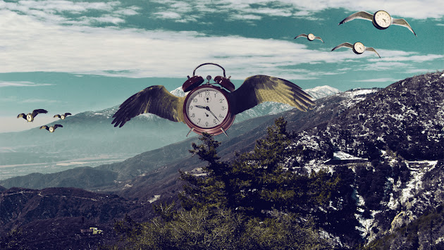 Cover photo