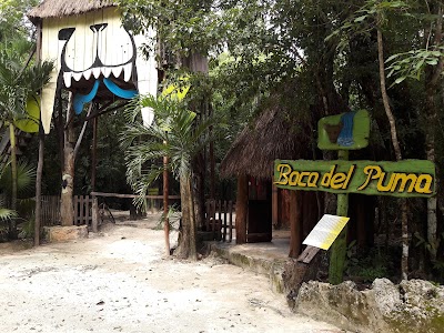 Photos of Boca del Puma