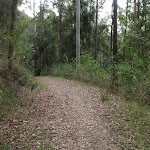 Taylors Rd lower trail (229816)