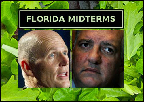 Mixed Green Results In Florida Midterms