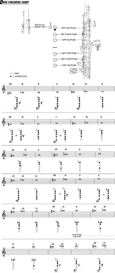 Oboe Key Chart
