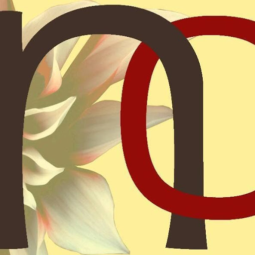 NC BEAUTY SUN TORINO logo