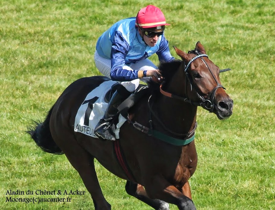 Photos Auteuil le 27-09-2014 IMG_4392