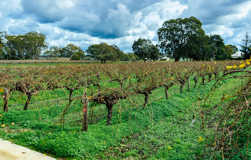 Hauptbild von Bethany Wines