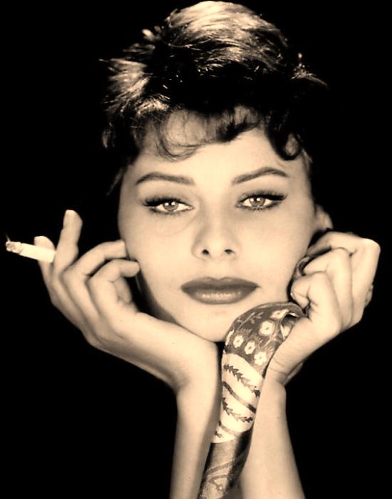Sophia Loren Sophia Loren