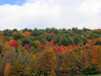 Fall Foliage in upstate New York