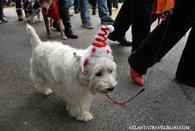 Reindog Parade