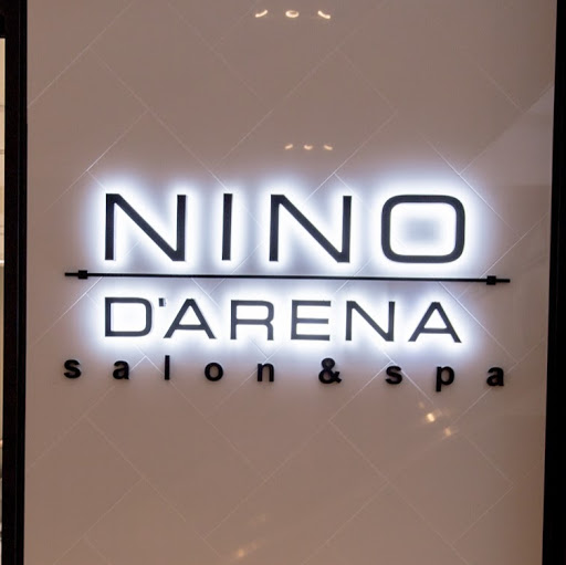 Nino D'Arena logo