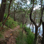 Track following Cowan Creek (118396)