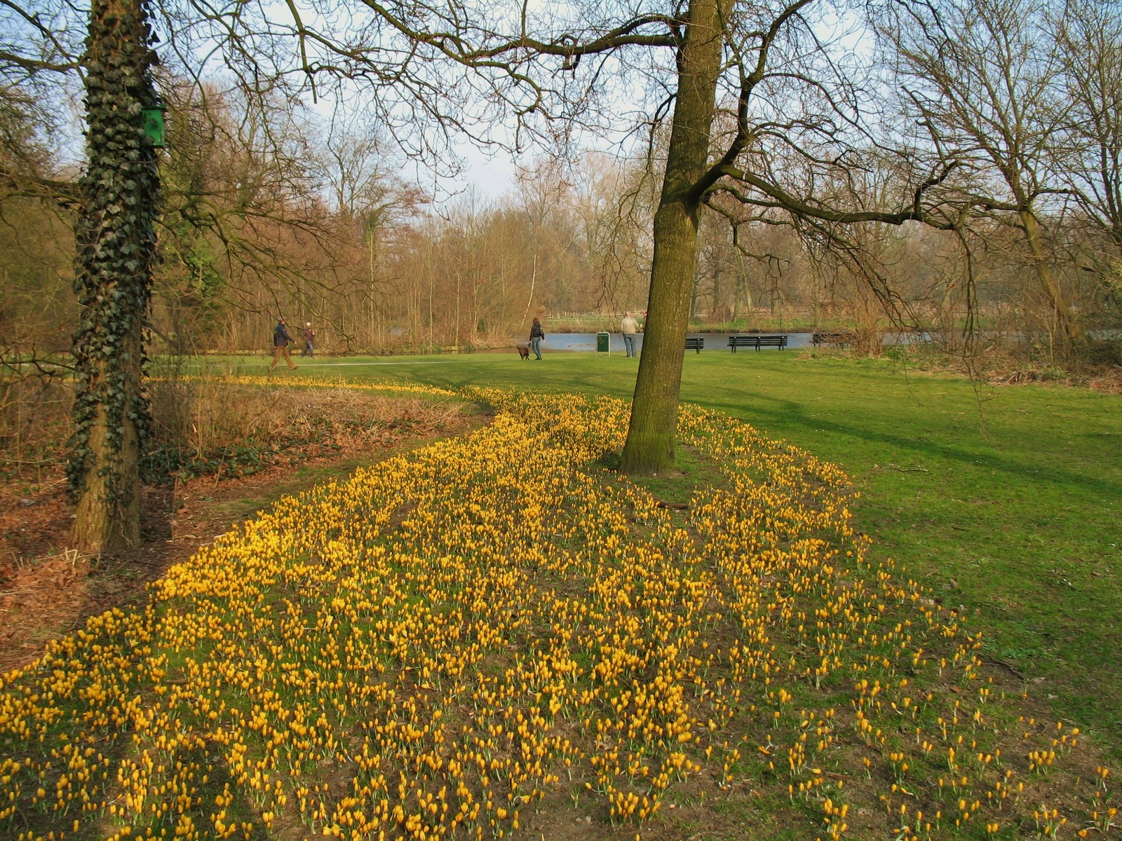 Notes from the Netherlands: Back in Amsterdam-- And it's spring!