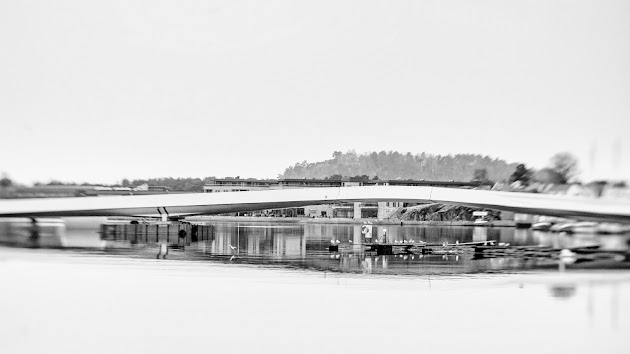 Cover photo
