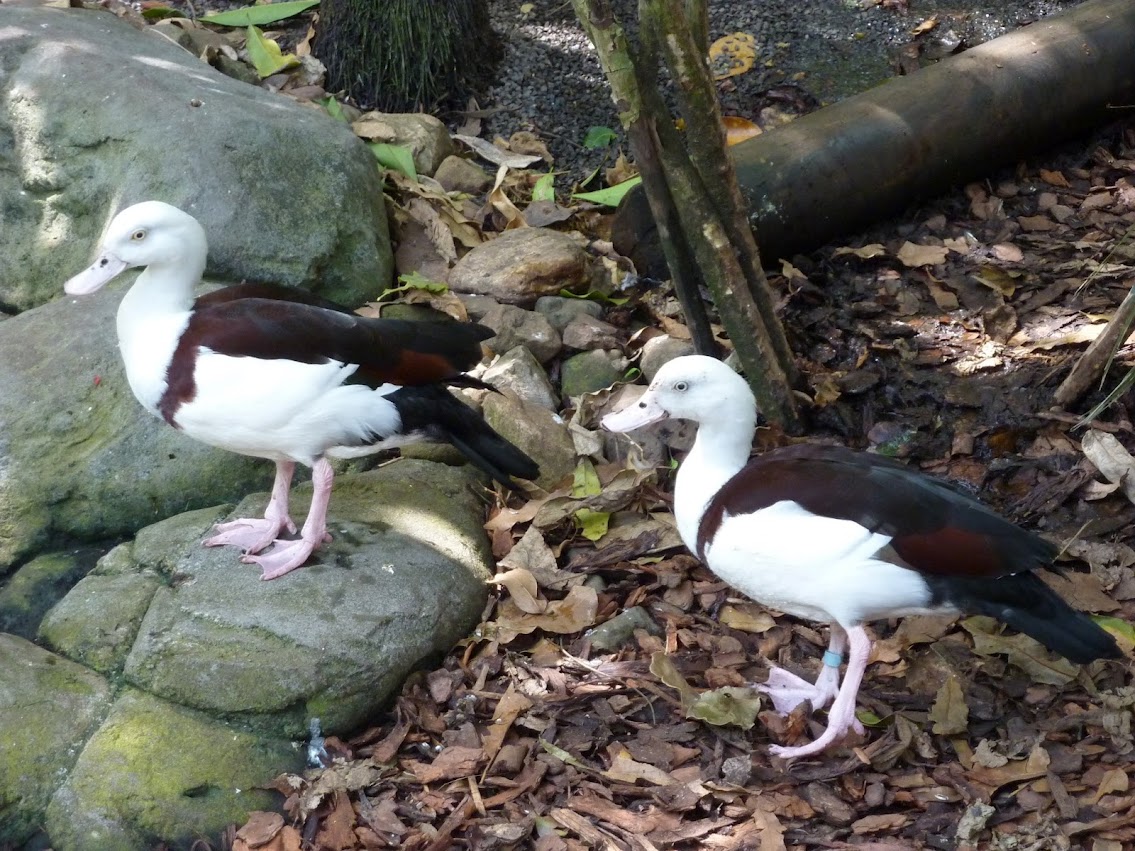 P1000117.JPG