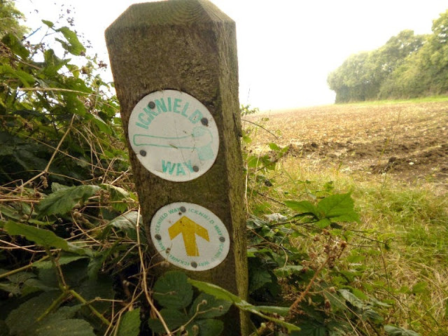 On the Icknield Way