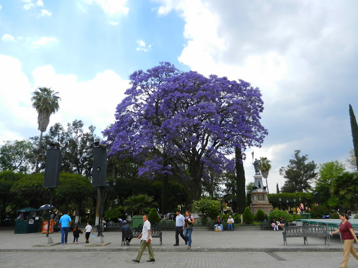 Plaza, Dolores Hidalgo