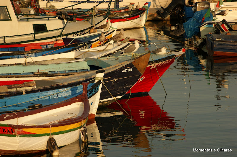 Outono na doca dos pescadores