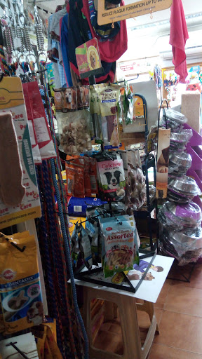 Puppy Love - The Bow Wow Shoppe., Shop No. 34, Cosmos Center, Morod, Mapusa, Goa, 403507, India, Pet_Care_Store, state GA