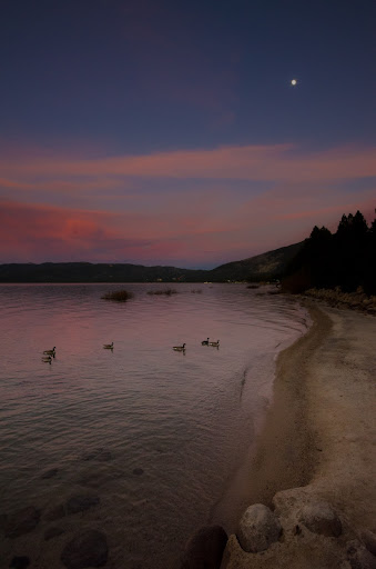 Sunset Ducks Reagan Beach Tahoe