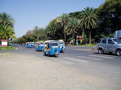 エチオピア旅行記|椰子並木の美しいバハルダールの街