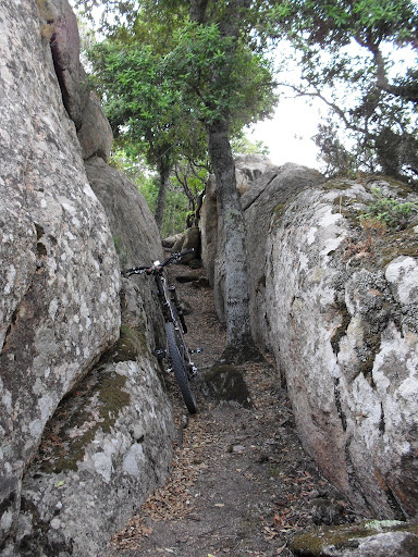 SDC12076.JPG