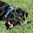 Susan Smith avatar image