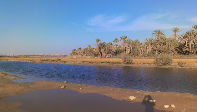 Cover photo