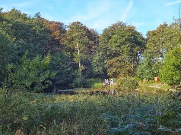 Pond at Kelling Heath