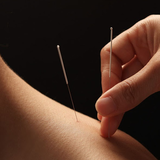 Danah Acupuncture logo