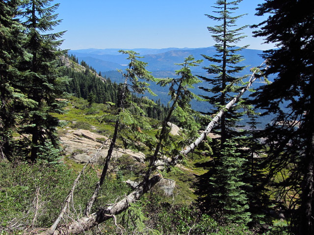 rocks poking out of the slope of the land