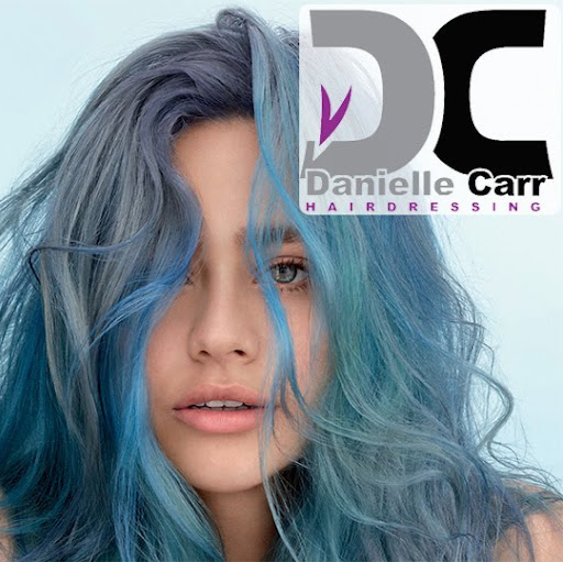 Danielle Carr Hairdressing logo
