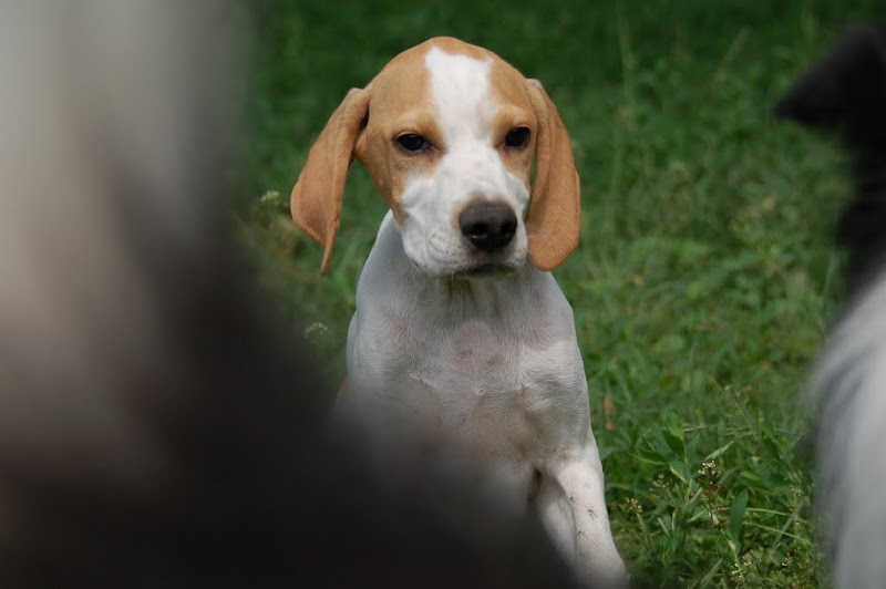 DSC_6565.JPG