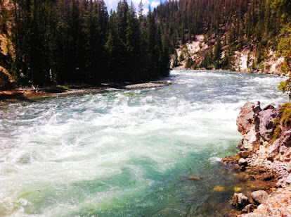 Yellowstone Creek