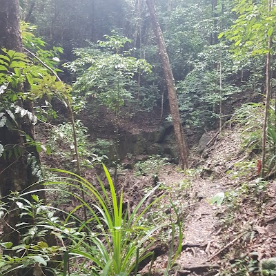 Photos of Mount Whitfield Conservation Park