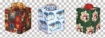 Deena_DM_ChristmasGift.jpg
