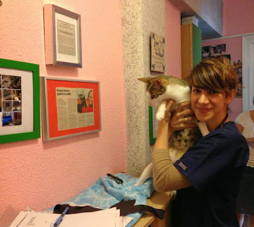 Este finde tenemos visita: Flor Dessal veterinaria del Centro Clínico Felinos Gattos de Madrid IMG_3553%25201
