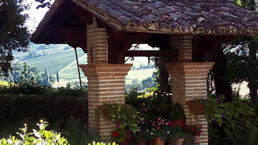 Immagine principale di Fattoria Paradiso Di Pezzi Mario & C. S.S.
