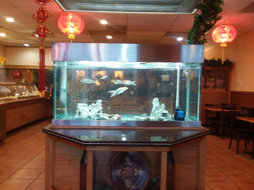 Chinese Restaurant «Garden Cafe Chinese Restaurant», reviews and photos, 1580 Space Center Dr, Colorado Springs, CO 80915, USA