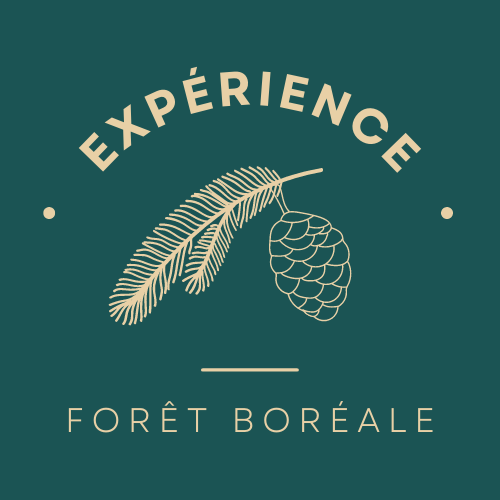 Expérience forêt boréale logo