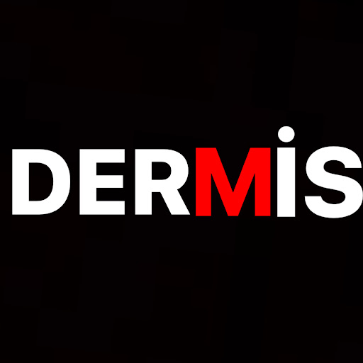 DERMİS DERİ logo