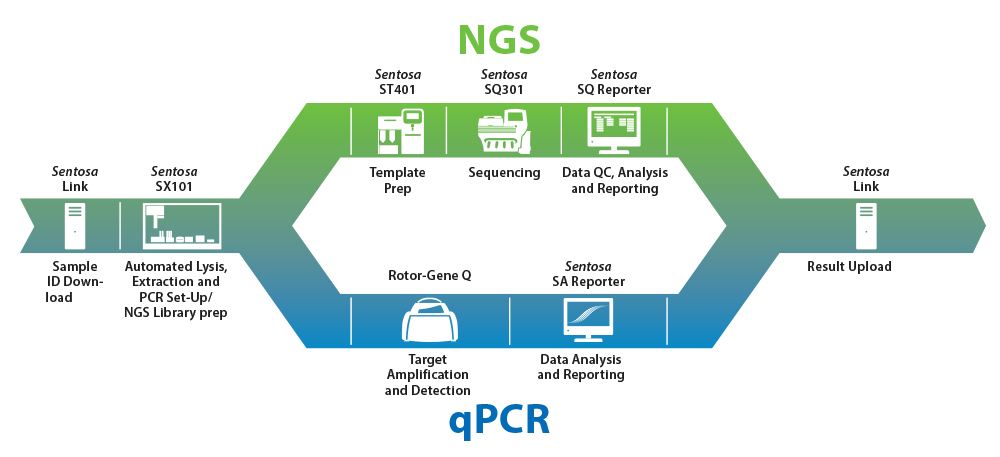 Ứng dụng giải trình tự gen thế hệ mới (NGS) trong sàng lọc trước sinh không xâm lấn Ứng dụng giải trình tự gen thế hệ mới (NGS) trong sàng lọc trước sinh không xâm lấn - ảnh 2