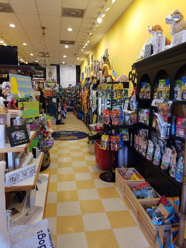 Gift Shop «Nautical Dog LLC», reviews and photos, 5104 Main St, Williamsburg, VA 23188, USA