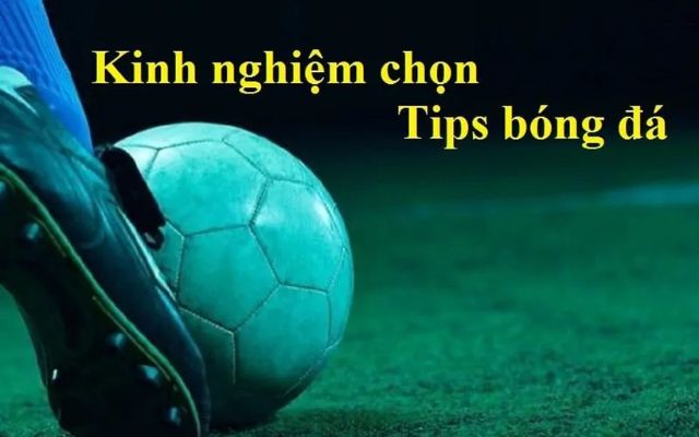 Kinh nghiệm chọn tips bóng đá chuẩn xác