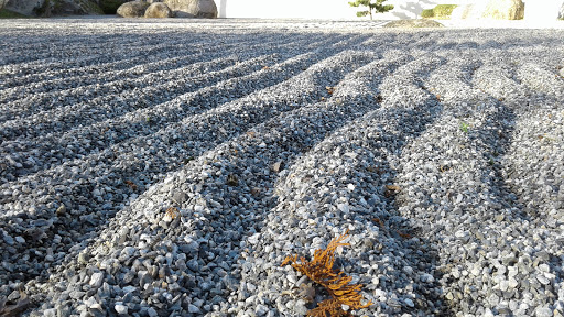Jardin Japonais