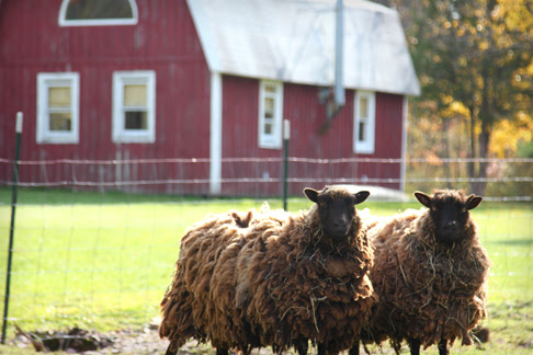  Hither and Thither in Catskill New York