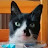 David Ewart avatar image