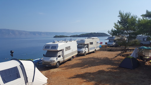 Kamp Nudist